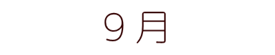 損害保険/自動車保険トータルアシスト　住宅総合保険/火災保険