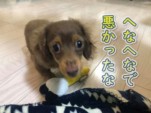 教育方針イメージ