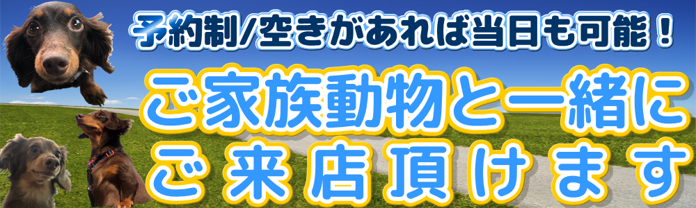 わんちゃんなどのご家族動物と一緒にご来店頂けるお店です