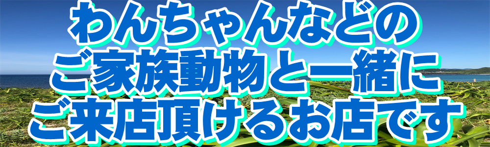わんちゃんなどのご家族動物と一緒にご来店頂けるお店です