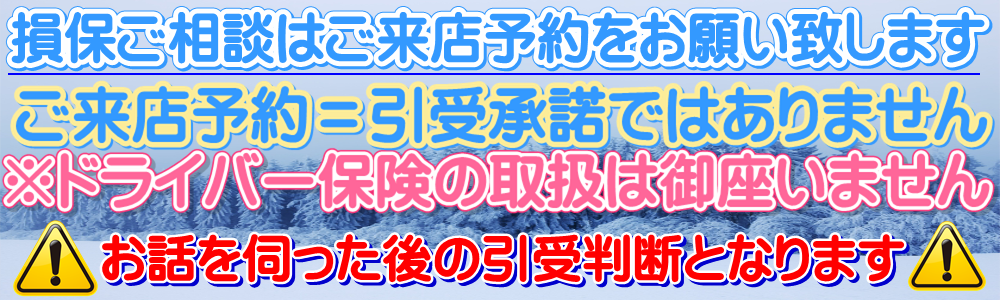 ※ドライバー保険の取扱は御座いません。