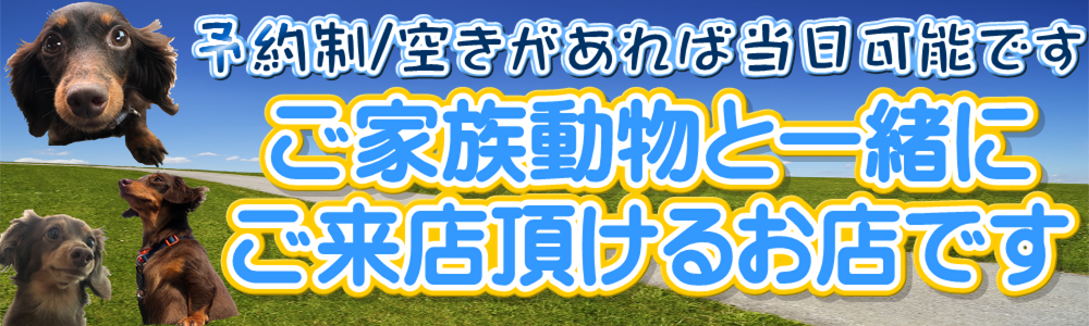 わんちゃんなどのご家族動物と一緒にご来店頂けるお店です